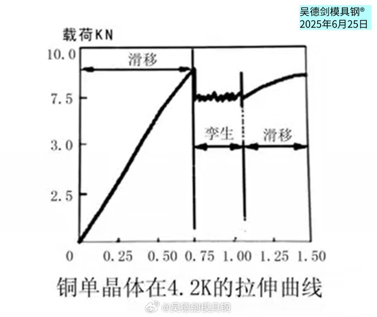 我的读书笔记：关于孪生变形干货知识