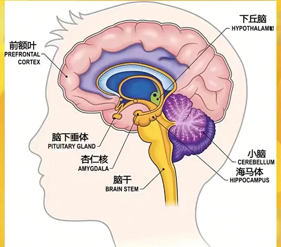 睡眠真的很重要：连睡9个小时，醒来感觉特别爽