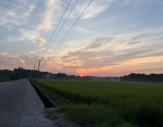 偶尔回来一趟，可以理解做好模具钢的意义