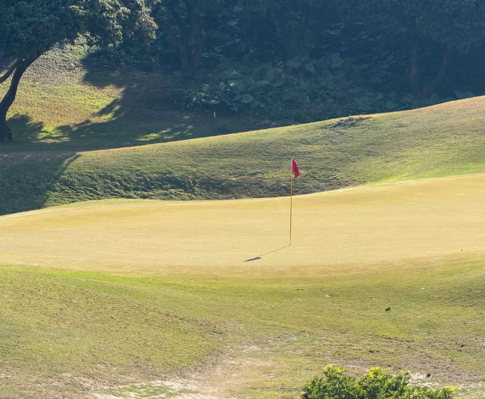 有钱人的游戏：不仅草坪修剪得很漂亮，还有一群人陪着